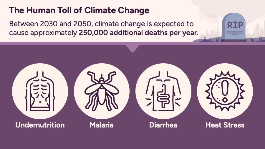 PUBH303: Climate Change Impact on Humans